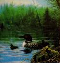 146 Ducks - 3-ply - Charles Keller